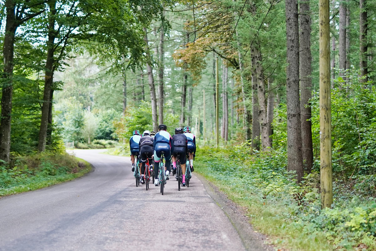 Bicycle Tour